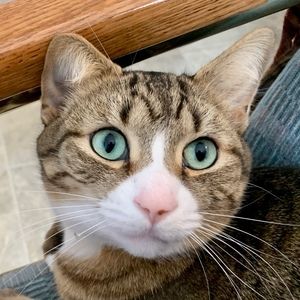 Meet your Posher, Lynn